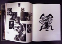 Books on Fringed Art Image 5