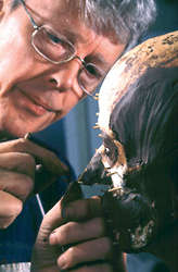 Religious Facial Resurrections Image 4
