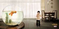 Advertising With Childhood Trauma Image 2