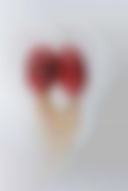Meat Jewelry