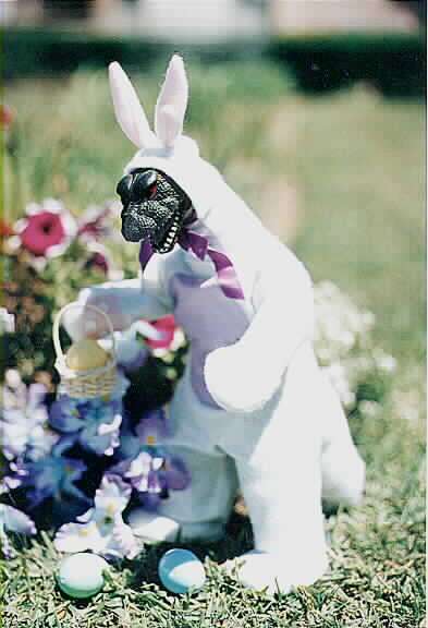 Easter Bunny Funny