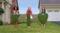 Naughty Landscaping Image 2