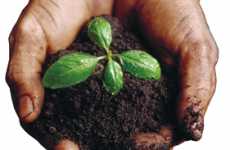 Reforesting California