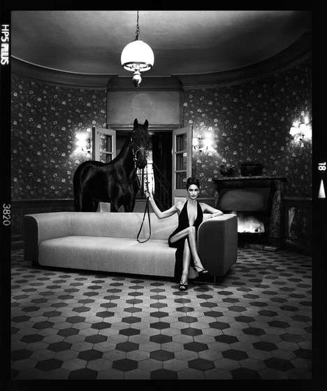 Controversial Furniture Photography