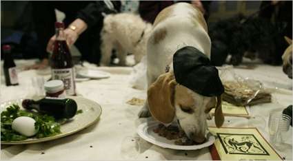 Kosher Pets