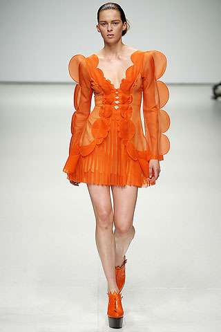 Scalloped Fashion