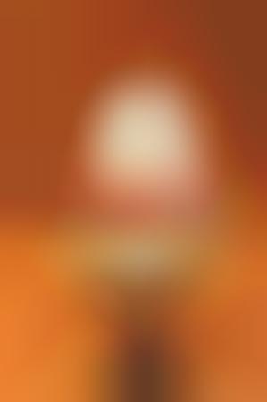 Repurposed Antique Lights