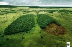 Forests As Lungs