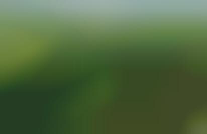 Forests As Lungs
