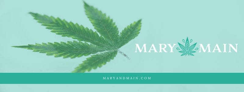 Educational Cannabis Stores