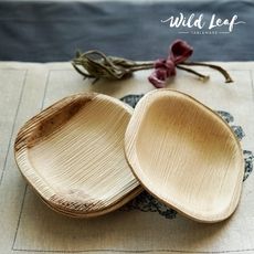 Compostable Tableware Sets Article Thubnail