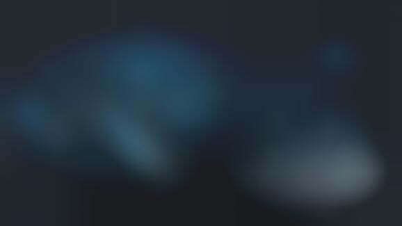 Autonomous Cargo Ships