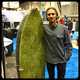 Wool Resin Surfboards Image 2