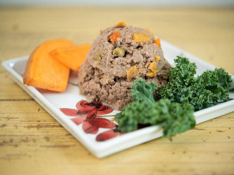 Culinary-Inspired Pet Meals