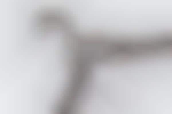 Luxurious Stainless Steel Hangers
