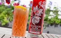 Fruit Waste Gins Image 2