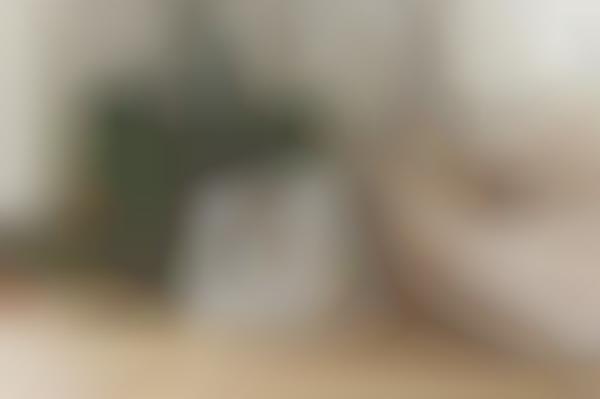 Health-Tracking Litter Boxes