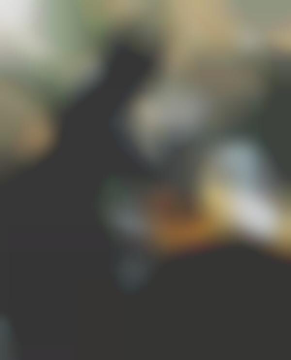 Cat Ear Helmet Accessories