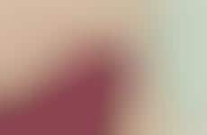 Female-Focused Intimate Toys