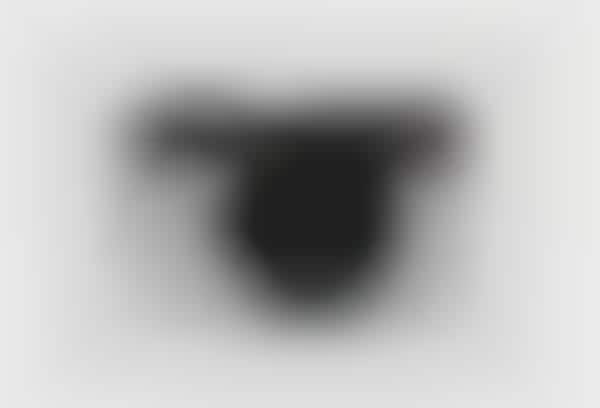 Smartphone-Required Cameras