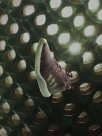 Technologically-Informed Runners Image 5
