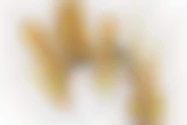 Gold-Covered Luxury Cosmetic Lines