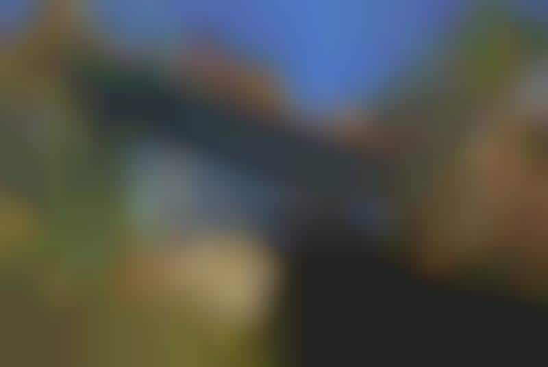 Compact Secluded Forest Cabins