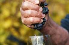 Natural Winemaking Courses