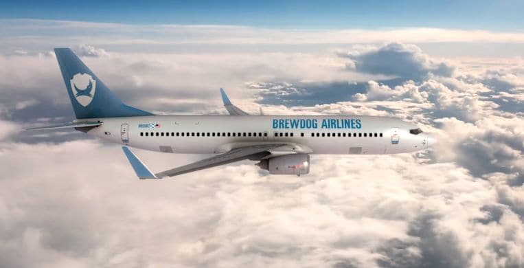 Beer-Focused Airlines