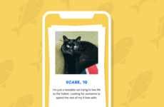 Black Cat Adoption Apps