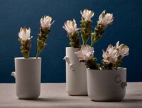Naturalistic Post-Modern Vases Image 5