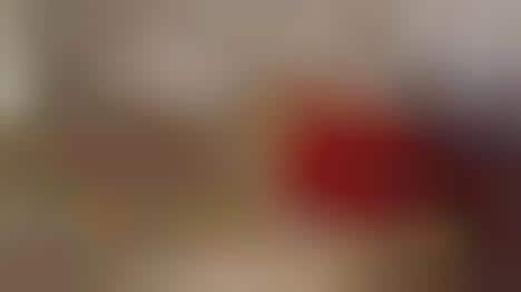 Voice-Activated Thanksgiving Assistants