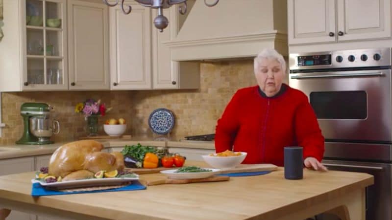 Voice-Activated Thanksgiving Assistants