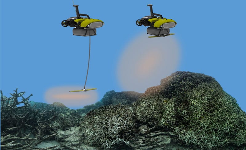 Coral Reef-Saving Robots