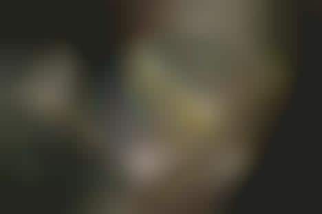 Clothing-Inspired Canvas Shoes