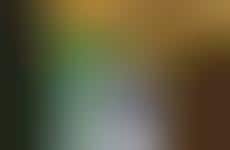 Pizza-Themed Claw Machines