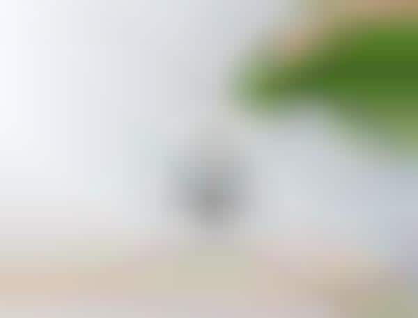 IoT-Connected Home Robots