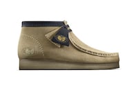 Hip Hop Album-Celebrating Shoes Image 3