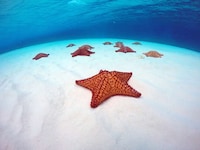 Resplendent Mexican Destinations Image 7