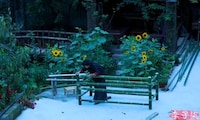 Sustainable DIY Bamboo Furniture Image 4