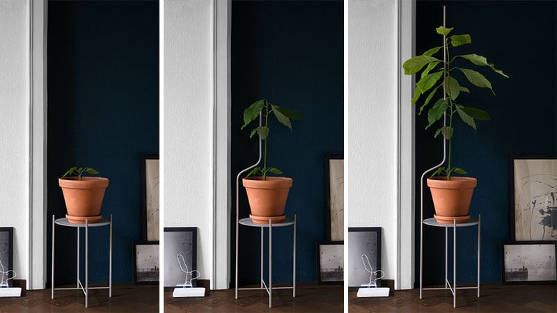 Growth-Supporting Plant Furniture