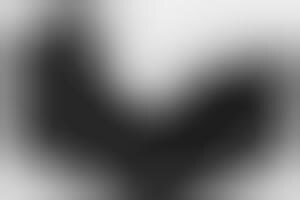 Octa-Stream WiFi Routers : Netgear Nighthawk AX8