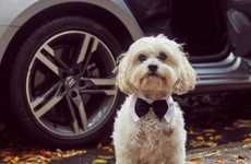 Luxe Pet Travelling Services