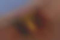 Shaving Gel-Filled Razors Image 1