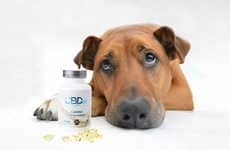 CBD Canine Supplements