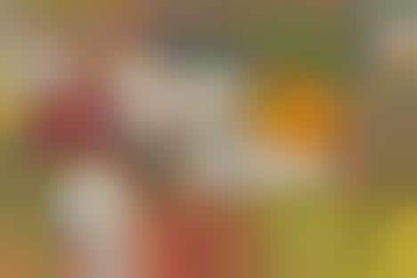 Artist-Designed Canvas Shoes