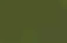 Inclusive Travel Platforms