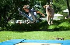 Playful Canine Trampoline Parks