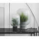Design-Forward Foggy Plant Terrariums Image 3