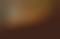 Seafood Medley Macaroni Meals